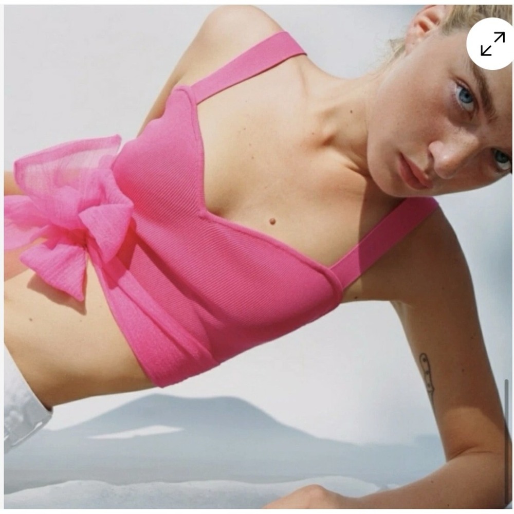 Zara Pink Organza Bow Back Knit Crop Top Bloggers Favorite Size Small - Picture 2 of 6
